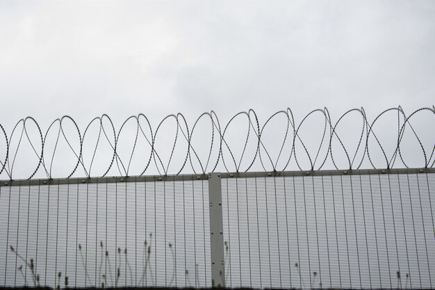 Steel mesh security fence topped with coils of razor wire